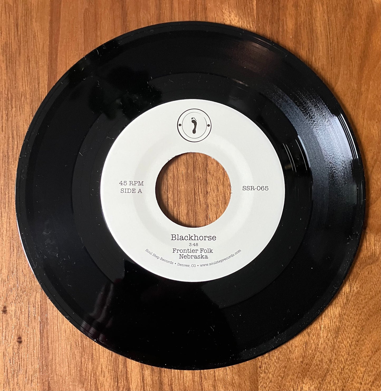 "Mind For Leaving" 7" single - Split with Frontier Folk Nebraska